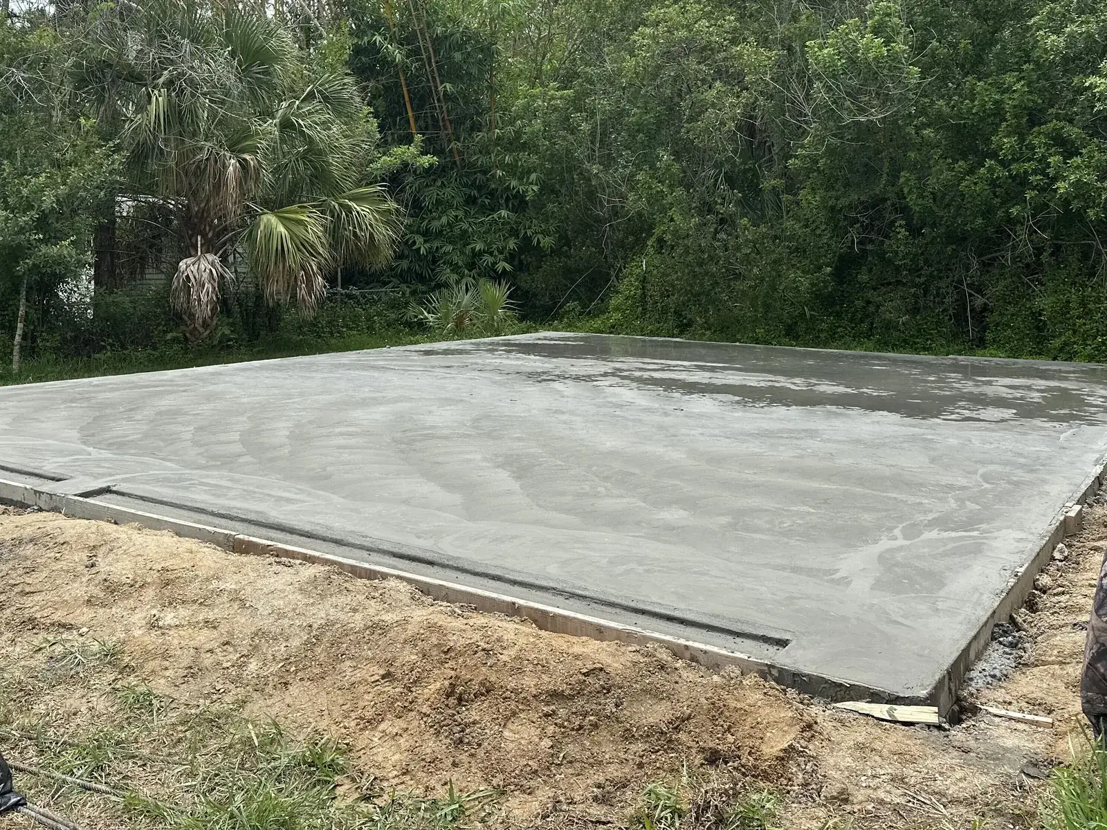 Concrete pad poured on a cleared lot with palms behind it